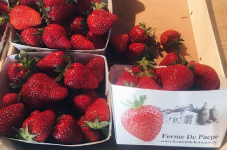 Commande de fraises (cliquez ici)